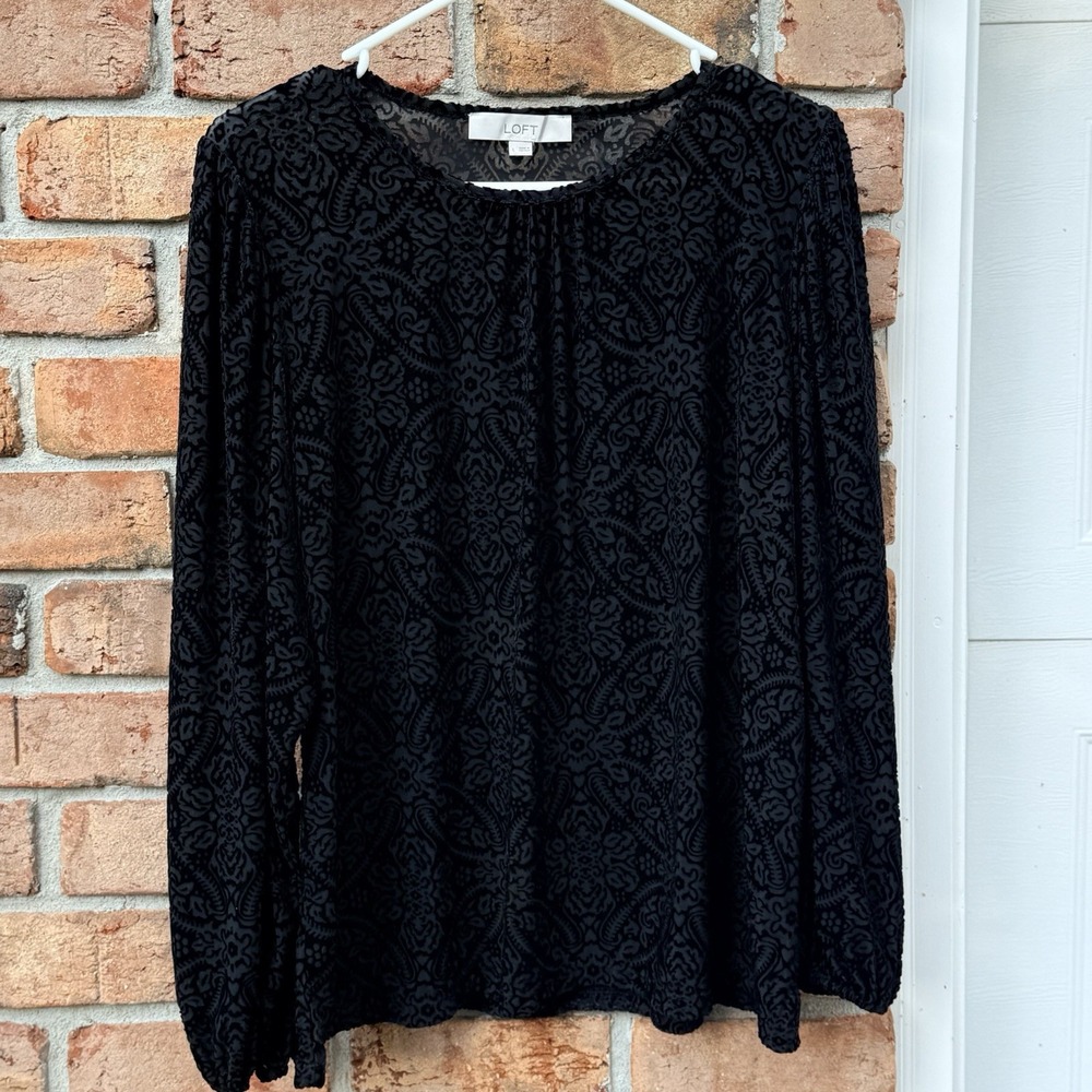 Black Velvet Burnout Puff Balloon Sleeves L Dark‎ Fairy Witchy Hallo Glam